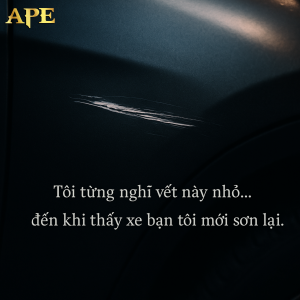 son-lai-xe