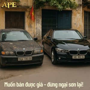 son-lai-xe