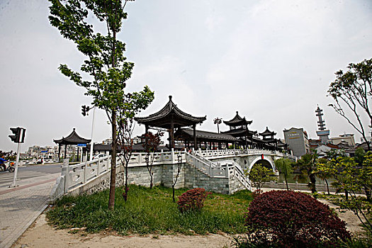 soi cau rong bạch kim