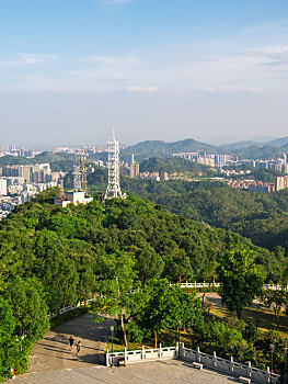 dự đoán bình định