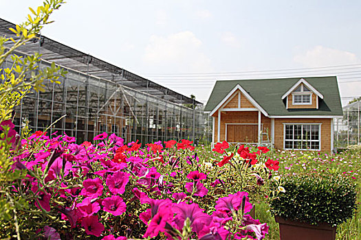 xsmb thứ 5