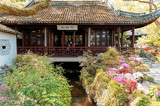 soi câu bach thu