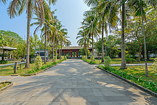 soi cau lo de chuan mien phi