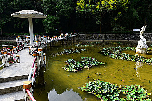 lo bach thu khung 3
