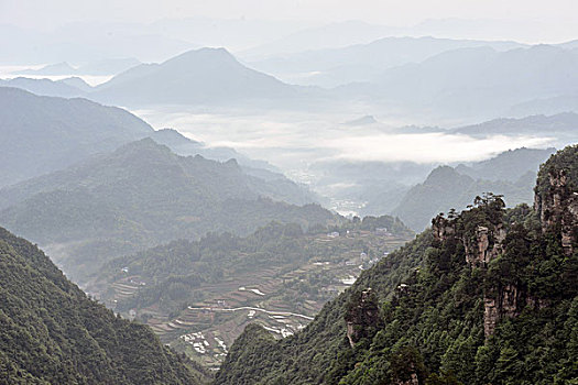 soi cầu