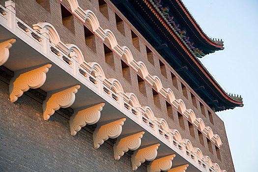 soi số miền bắc