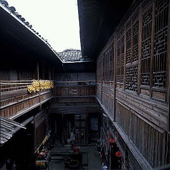 soi cau 6666 mb