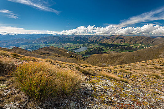 rong bach kim 2 nhay